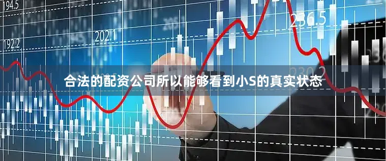 合法的配资公司所以能够看到小S的真实状态