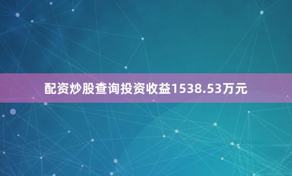 配资炒股查询投资收益1538.53万元