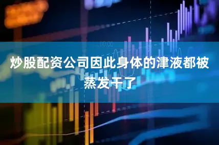 炒股配资公司因此身体的津液都被蒸发干了