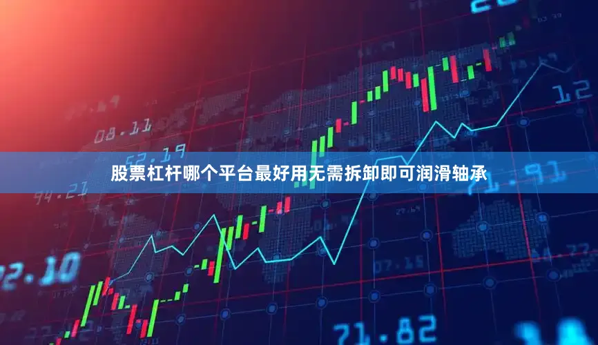 股票杠杆哪个平台最好用无需拆卸即可润滑轴承