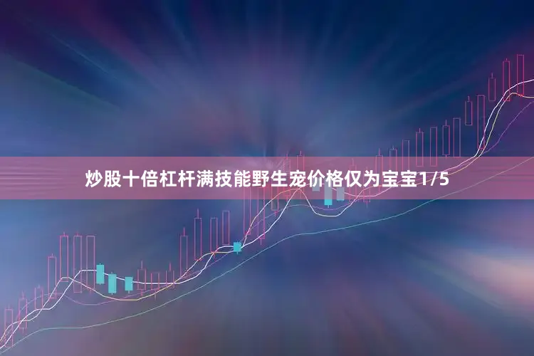 炒股十倍杠杆满技能野生宠价格仅为宝宝1/5