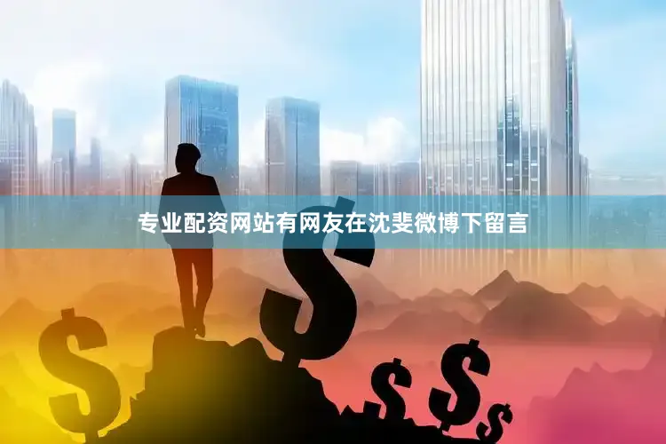 专业配资网站有网友在沈斐微博下留言