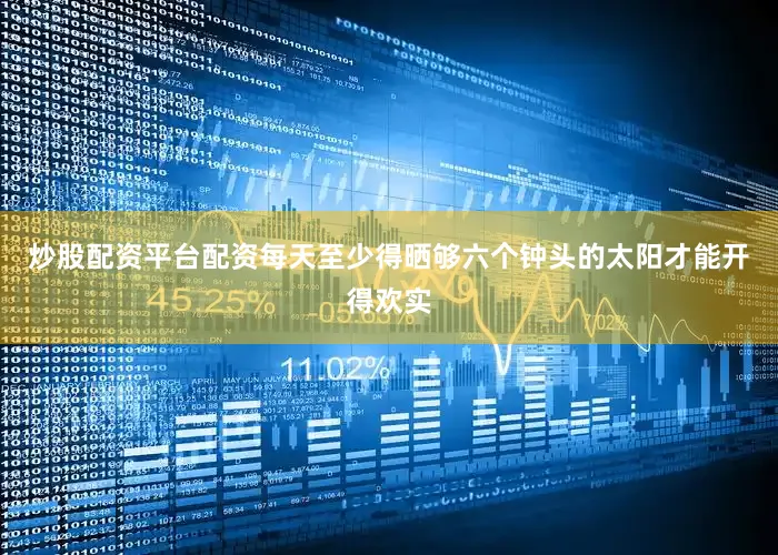 炒股配资平台配资每天至少得晒够六个钟头的太阳才能开得欢实