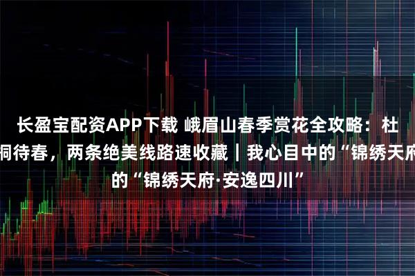 长盈宝配资APP下载 峨眉山春季赏花全攻略：杜鹃抱雪，珙桐待春，两条绝美线路速收藏｜我心目中的“锦绣天府·安逸四川”