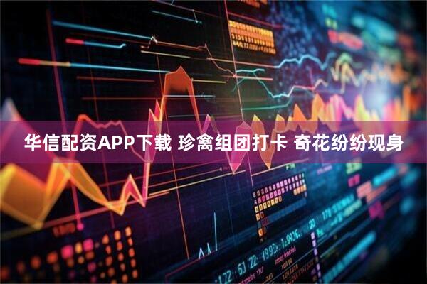 华信配资APP下载 珍禽组团打卡 奇花纷纷现身