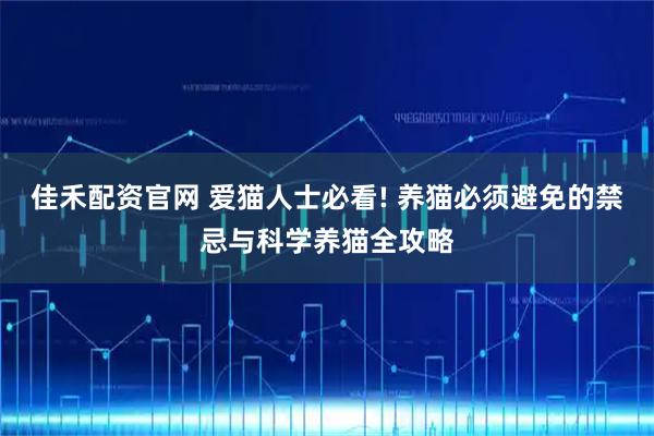 佳禾配资官网 爱猫人士必看! 养猫必须避免的禁忌与科学养猫全攻略