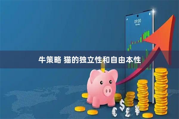 牛策略 猫的独立性和自由本性
