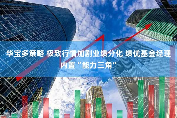 华宝多策略 极致行情加剧业绩分化 绩优基金经理内置“能力三角”